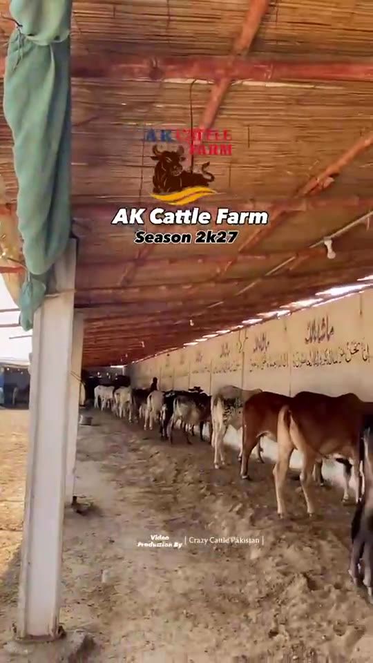 Farm shed walkthrough video preview